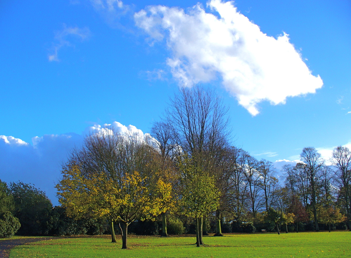 Clouds over the park